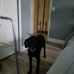 Meet your Posher, Mackenzie